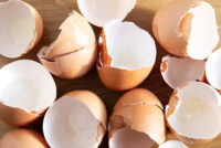 7 Ways to Use Eggshells