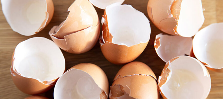 7 Ways to Use Eggshells