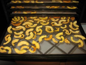 dehydrating apples