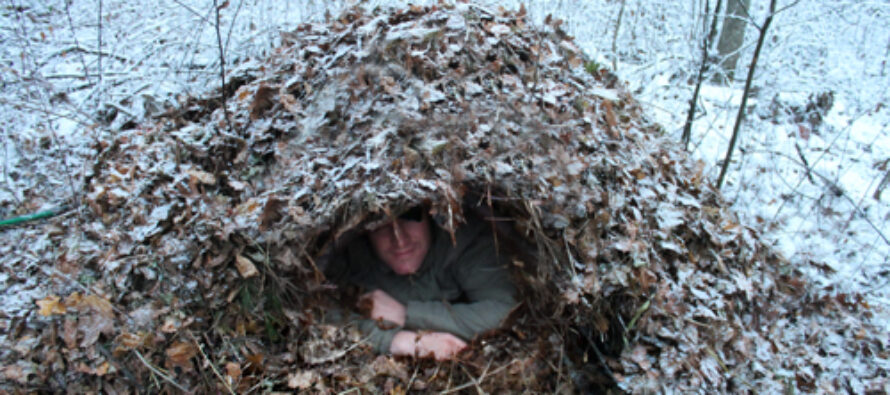 How To Build A Debris Hut