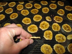 how to dehydrate bananas and make chips