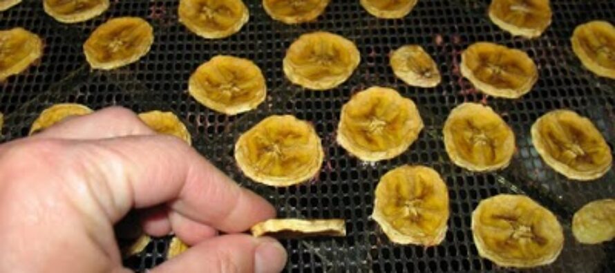 How To Make Banana Chips With Dehydrated Bananas