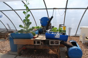 how to build a vertical aquaponic system