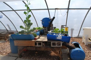  DIY project to put on your to-do list. The vertical aquaponic system