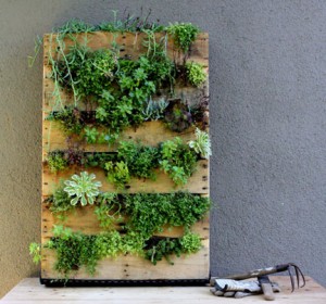 cool diy wood projects