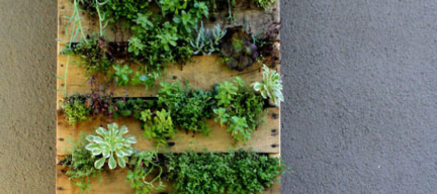 45 Cool DIY Projects Using Old Wooden Pallets