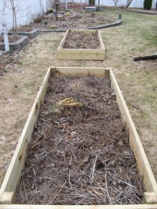 DIY raised bed vegetable garden