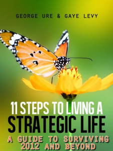 11 steps to living a strategic life gaye levy george ure