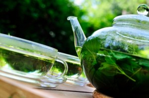 how to make medicinal herbal infusions