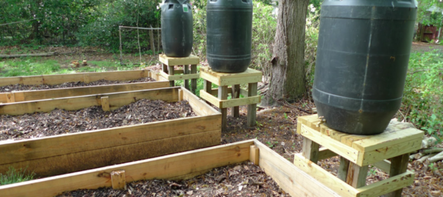 How To Make A Rain Barrel System For Just $40