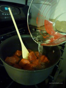 homemade ketchup step 2