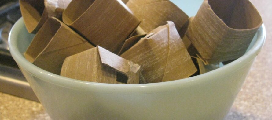 How To Make Seed Starting Pots From Toilet Paper Rolls
