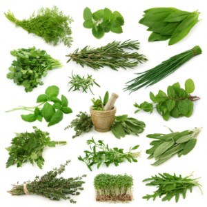 top 10 anti-inflammatory herbs and their benefits