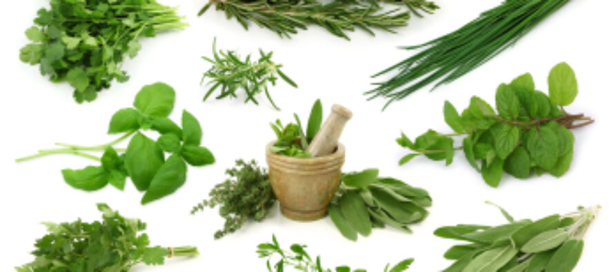 Top 10 Anti-Inflammatory Herbs and Their Benefits