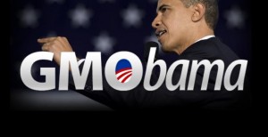 obama signs the monsanto protection act