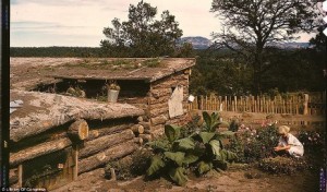 shtf survival shelter