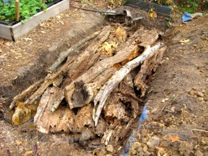how to build a hugelkultur bed