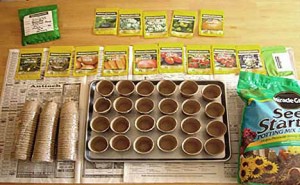 survival seed germination