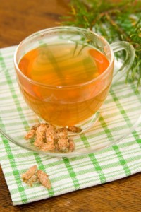 pine bud tea infusion