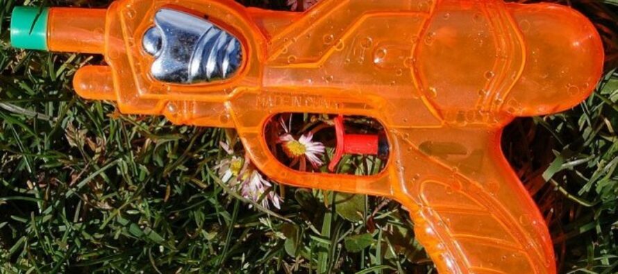 Police Confiscate Commack NY Man’s Guns Over 10 Year Son’s Water Pistol Threat