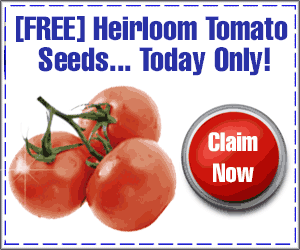 free non-gmo heirloom tomato seeds