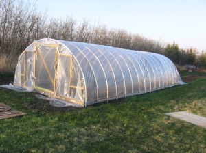 how to build an inexpensive hoop greenhouse