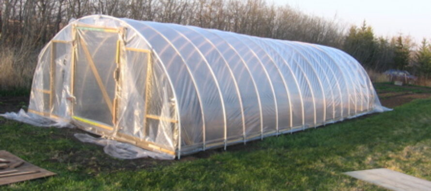 How to Build an Inexpensive Hoop-Style Greenhouse