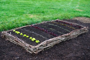 wattle raised bed garden