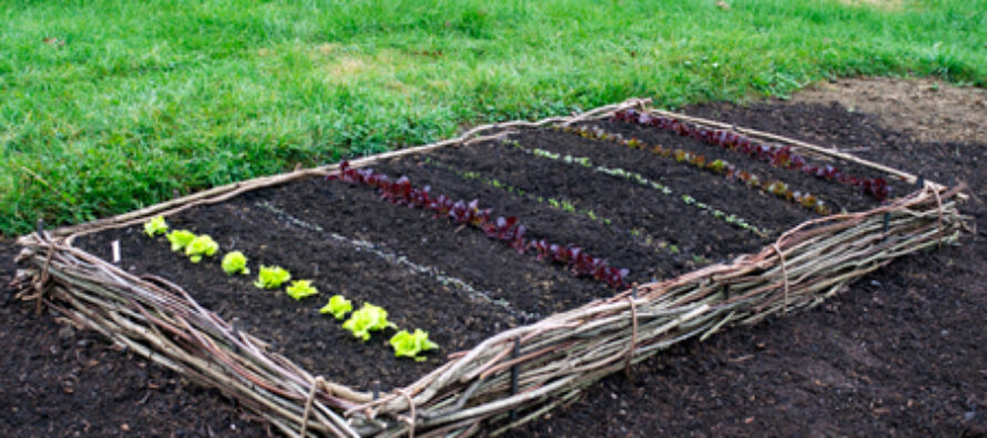 5 Ways To Make Raised Garden Beds