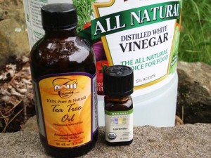 herbal tick and bug repellant