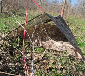 how to set up a military poncho shelter