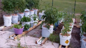 self watering rain gutter vegetable grow system