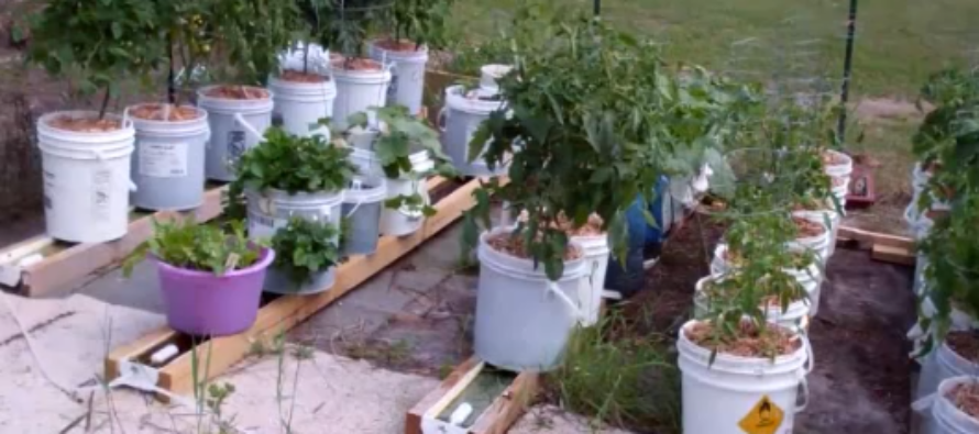 How To Build A Self Watering Rain Gutter System To Grow Vegetables