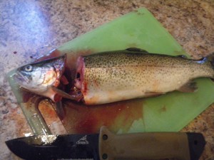 how to clean a trout