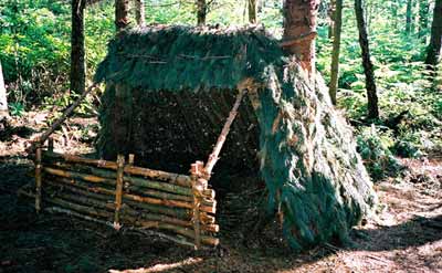 survival shelters you can build