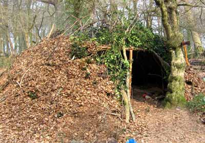 build a survival shelter