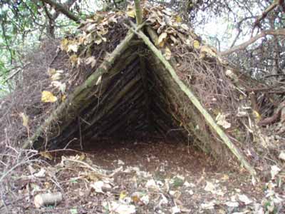 build your own survival shelter