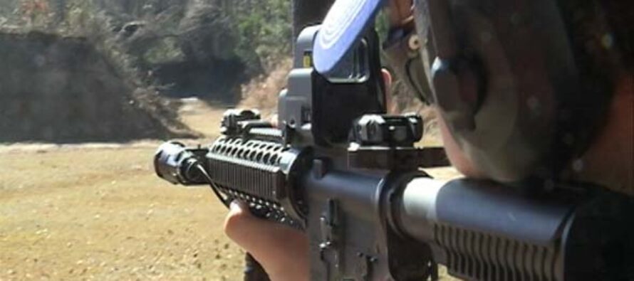 IRS Needs AR-15′S For “Standoff Capabilities”?