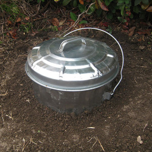 diy food scrap digester/composter