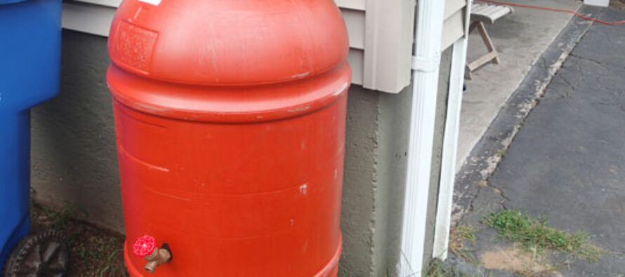How To Make A Rain Barrel For $50 Dollars or Less