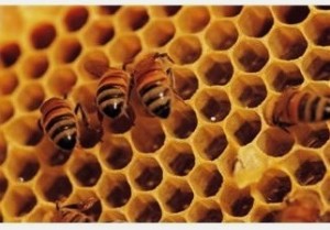 alternative uses for honey
