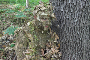 how to disappear in the wilderness using natural camouflage