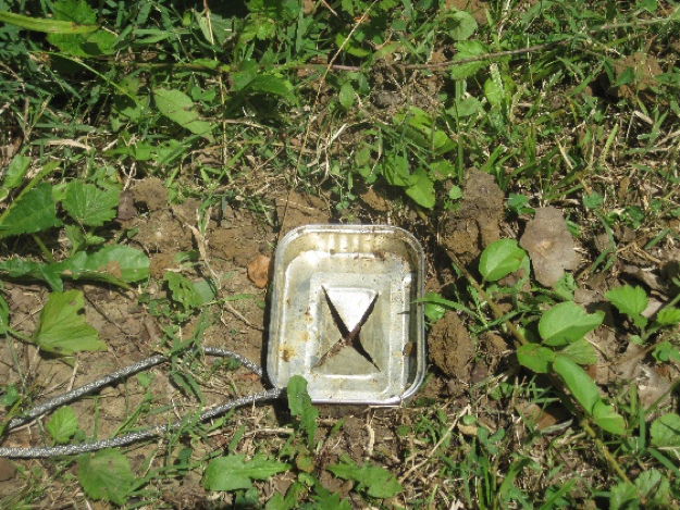 sardine foothold trap waiting for the kill