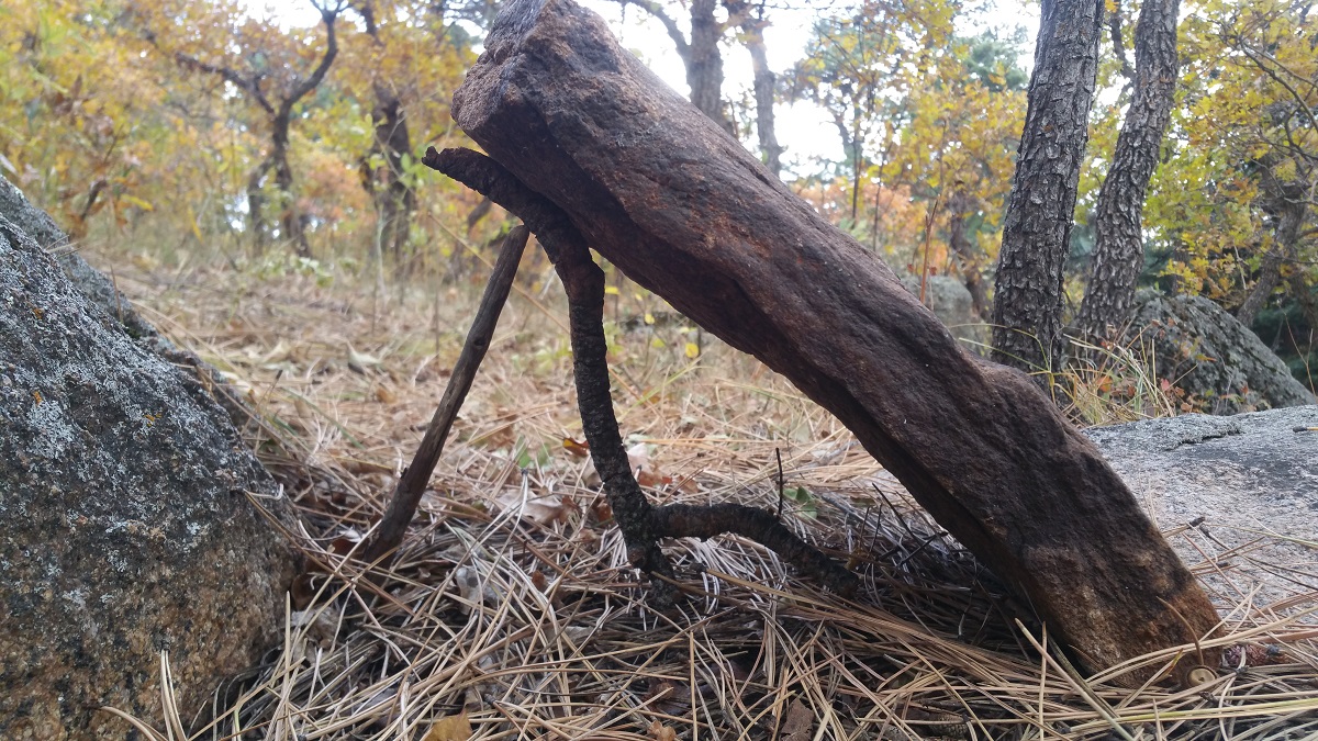 The Two Stick Deadfall Trap