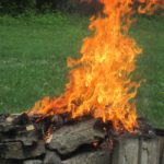 Matches for Survival