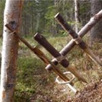 Learn How To Make A Primitive Survival Trap