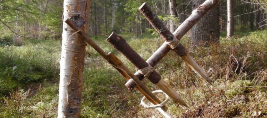Learn How To Make A Primitive Survival Trap