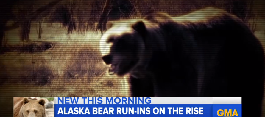 12-year-old Rescues Family From Bear Attack