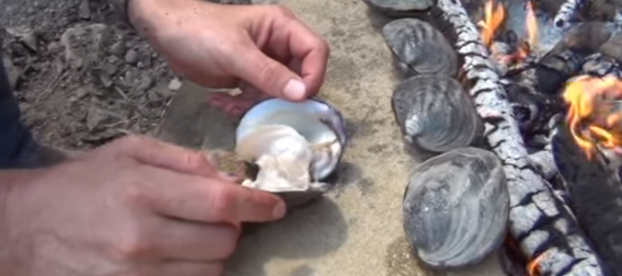 How to Campfire Cook Clams