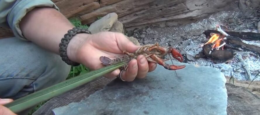 How to Catch Crawfish and Cook Them
